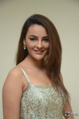 Seerat Kapoor New Photos